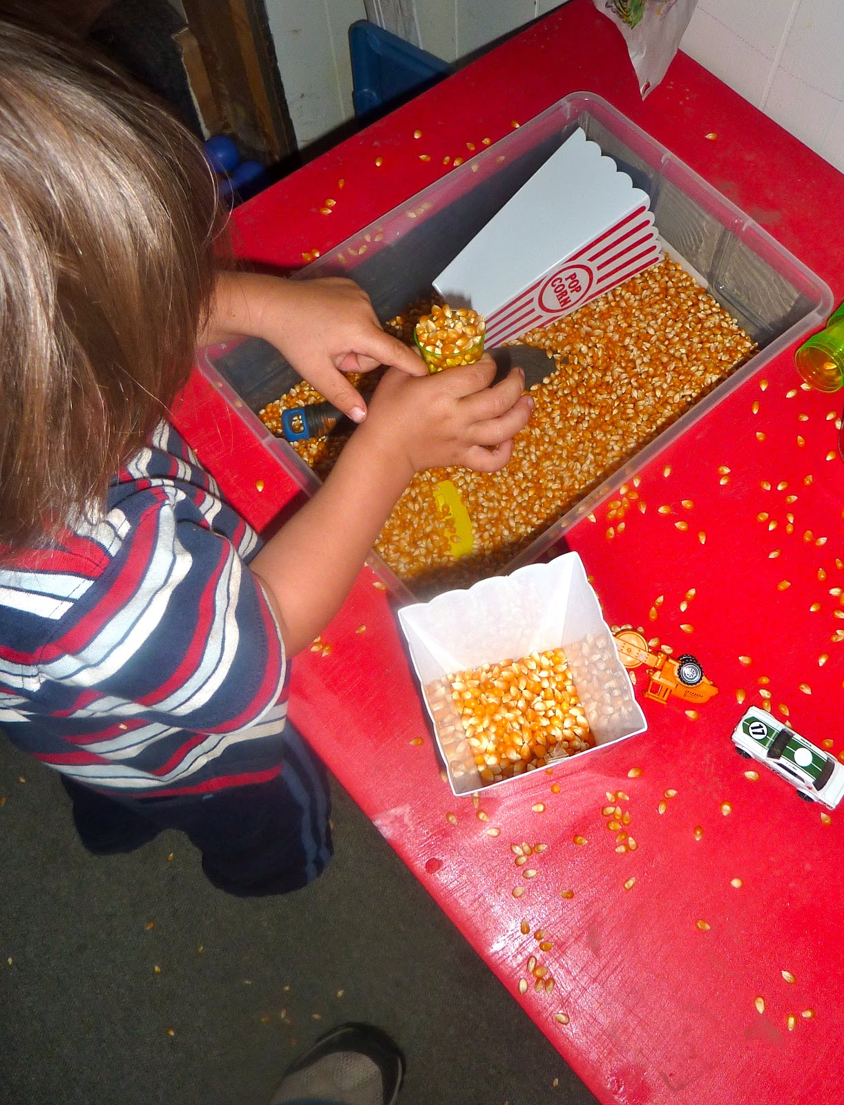 5 Fun Sensory Table Ideas