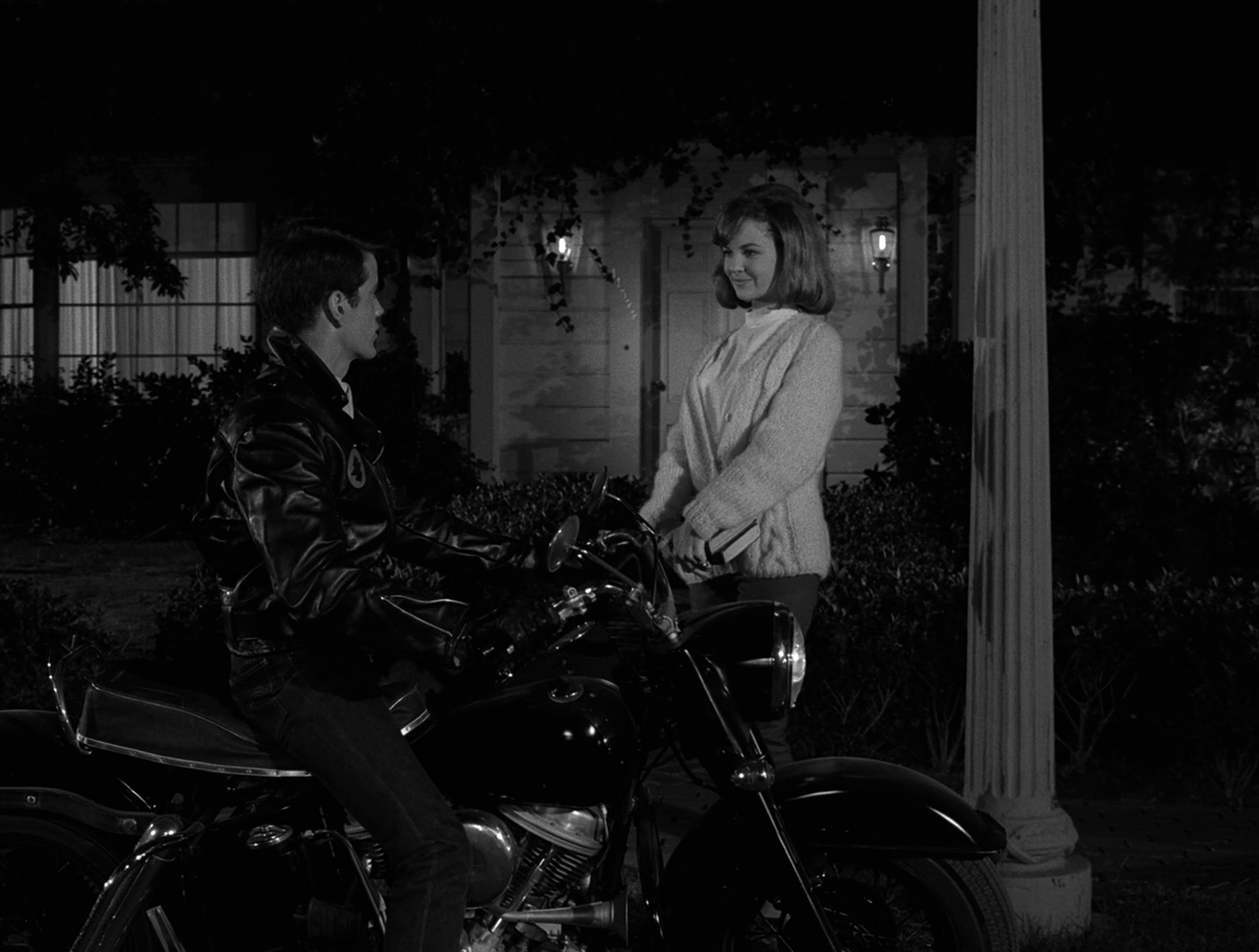 My Life In The Shadow Of Twilight Zone Episode Spotlight But They Aren T Re Invaders From An Unspecified Planet One Small Cell In A Large Force Planning To Eradicate Mankind By Poisoning The Earth S Water