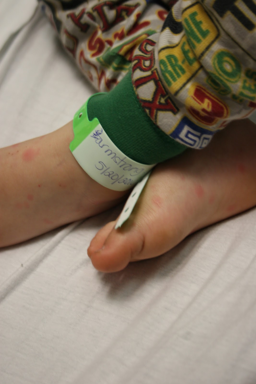 Rocky Roller Coaster