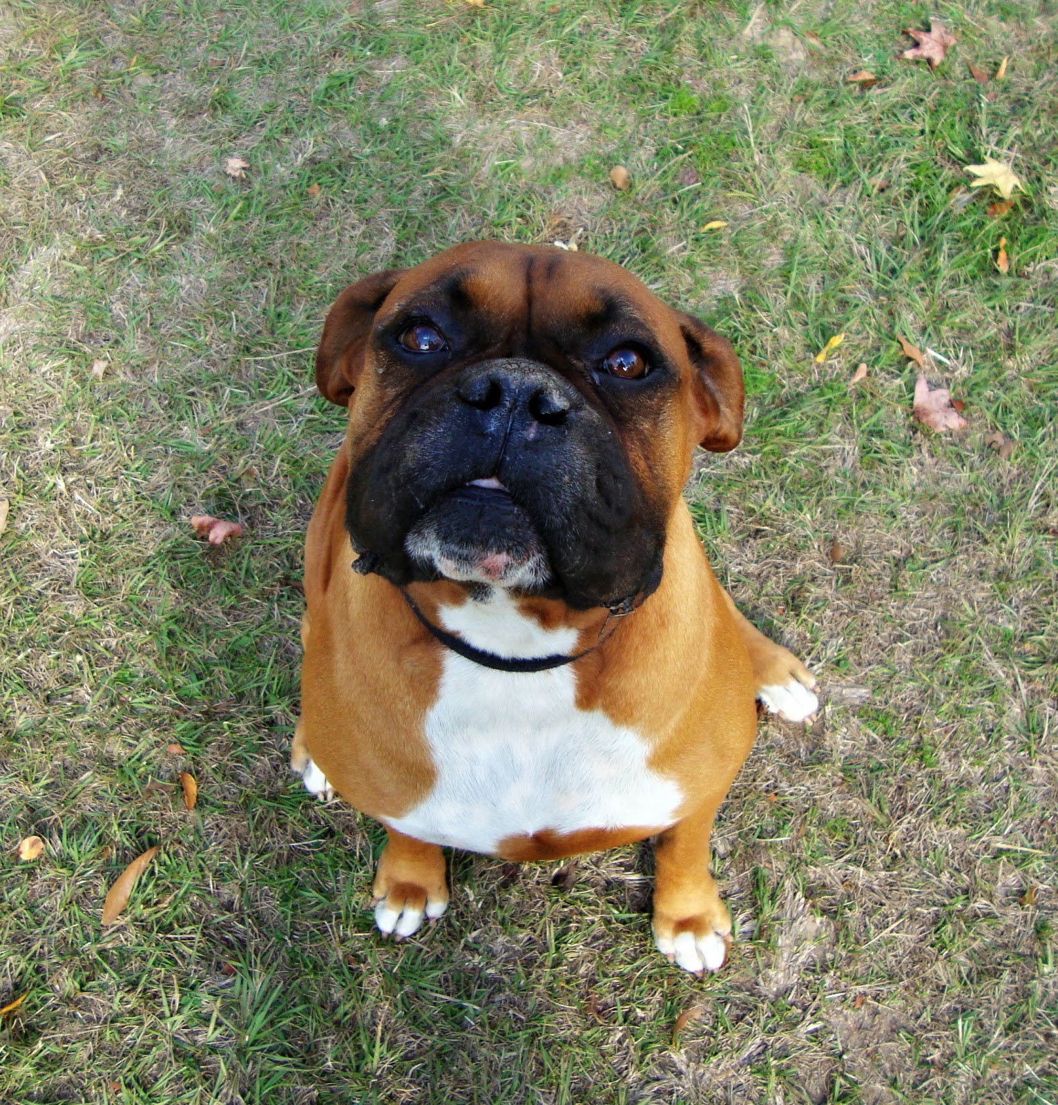 Hercules Takes Over It�s About the Journey