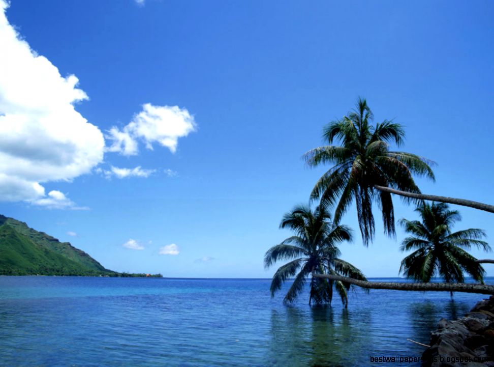 free wallpapers download for desktop free wallpapers download for desktop