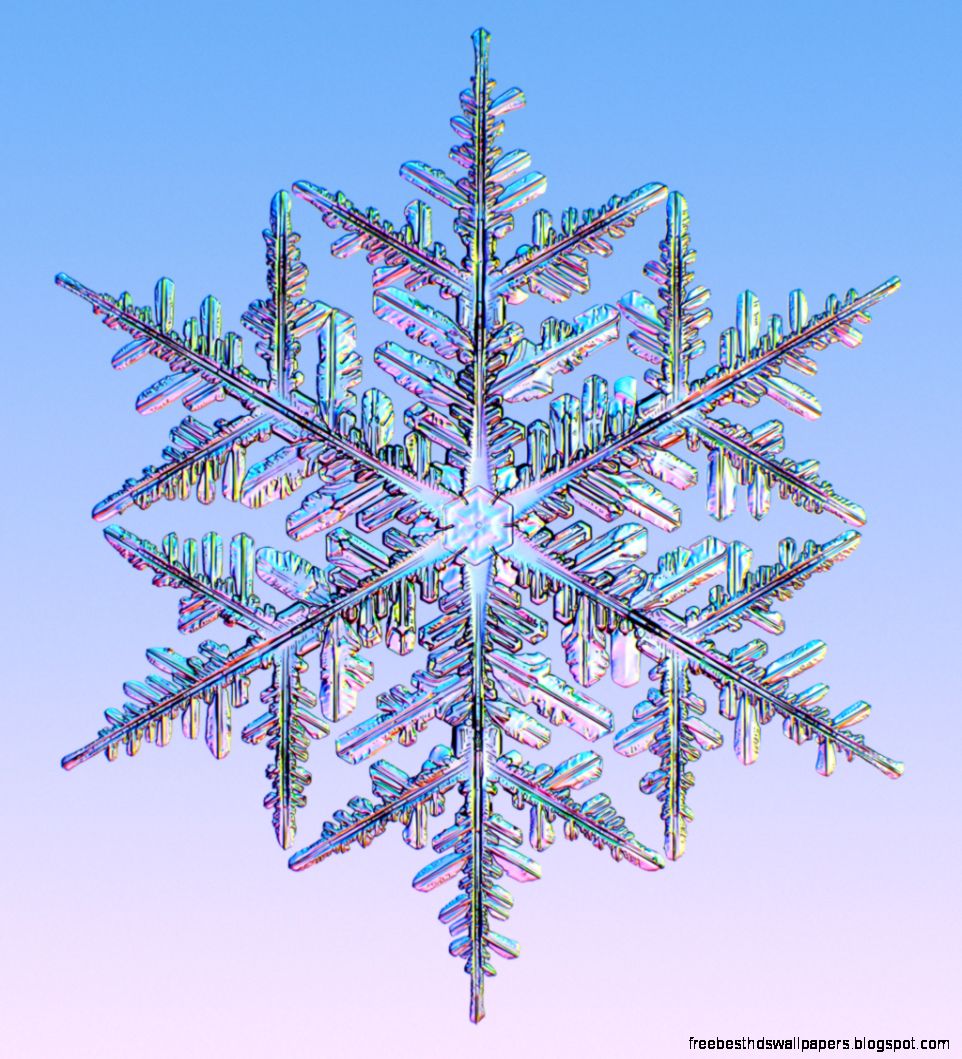 Snowflake Photographs Snowflake Photographs