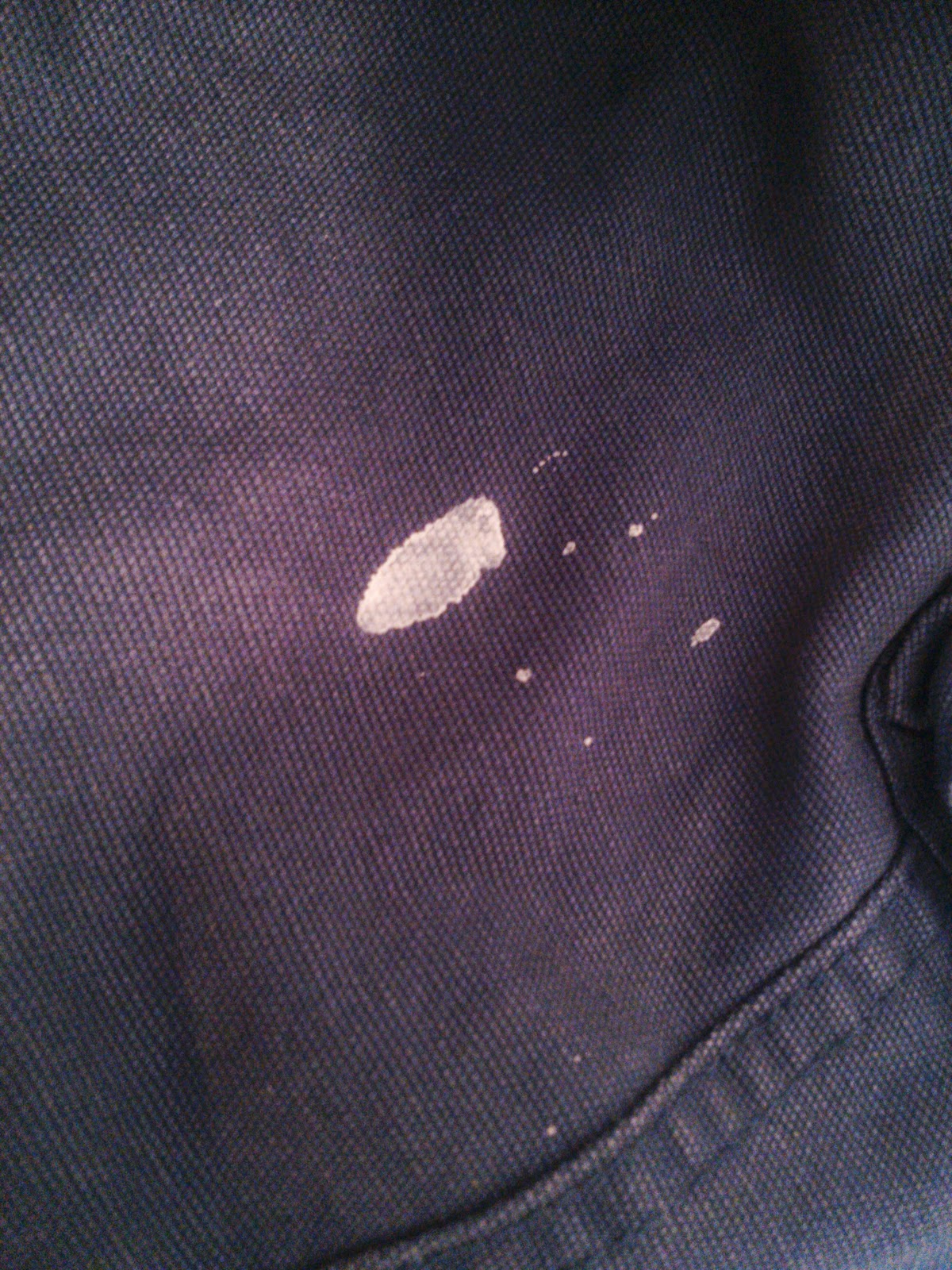 On Bliss Street How to Remove Dried Latex Paint from Clothing!