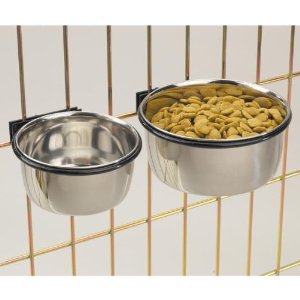 Proselect Stainless Steel Coop Cup 16Oz-PetEdge