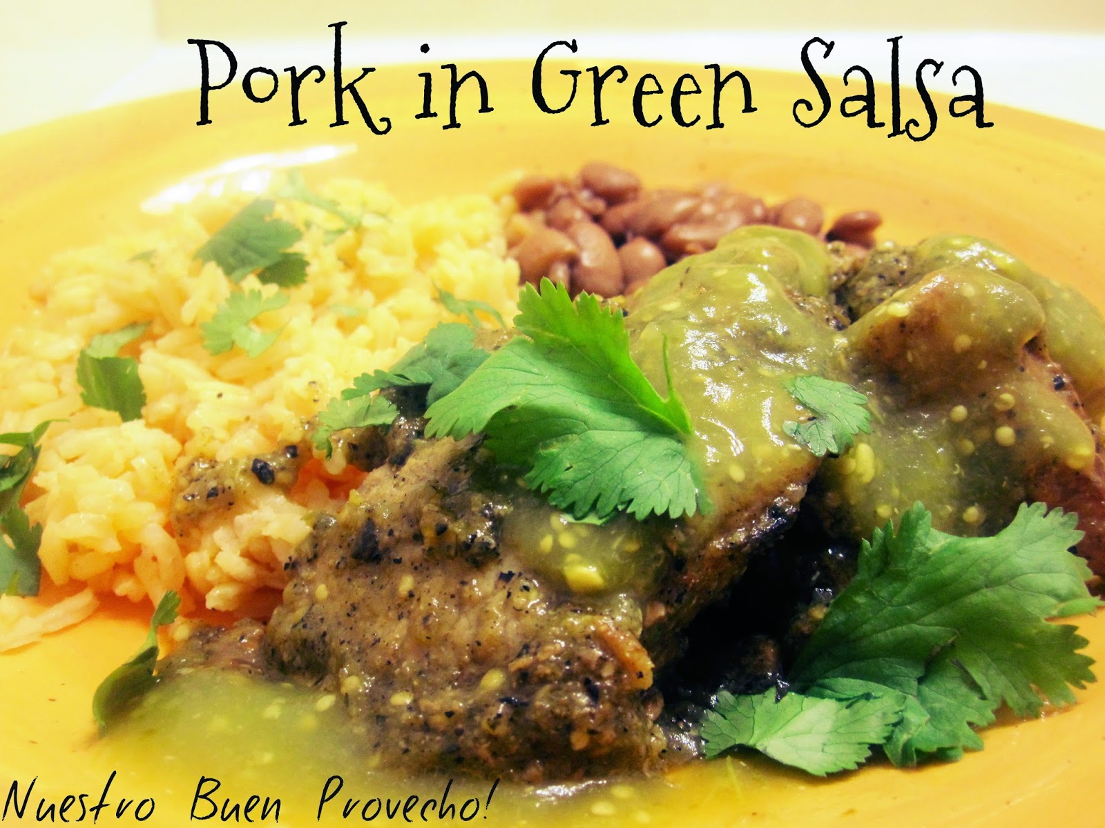 Nuestro Buen Provecho Pork in Green Salsa