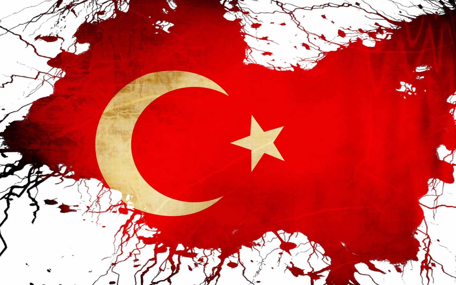 turk bayraklari 8