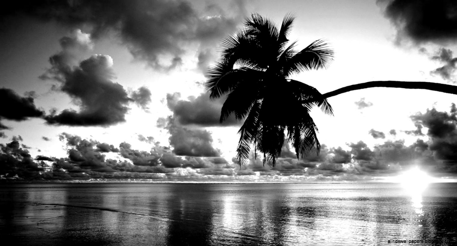 Beautiful Wallpaper Black And White All HD Wallpapers