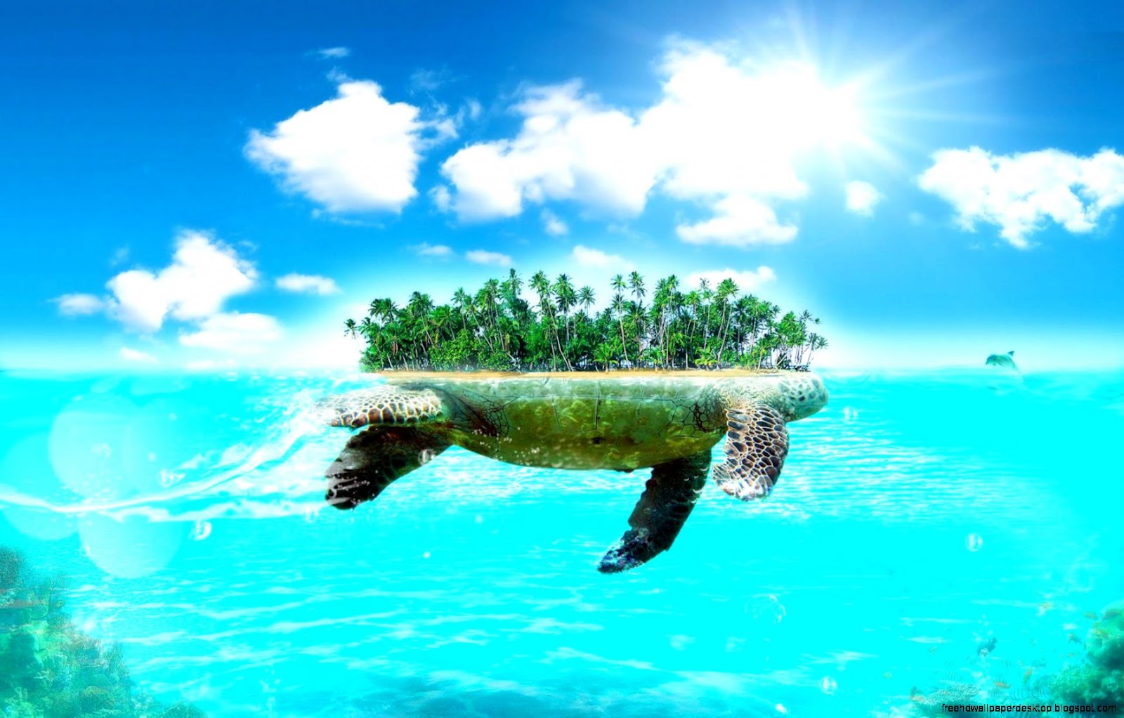 Turtle Island Turtle Island