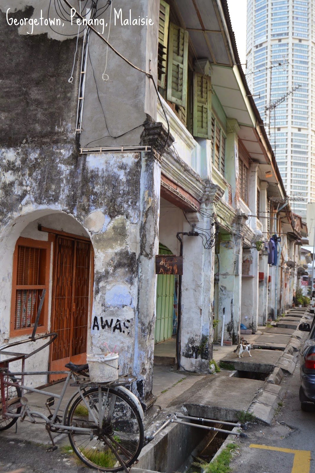 prostituee playa del carmen