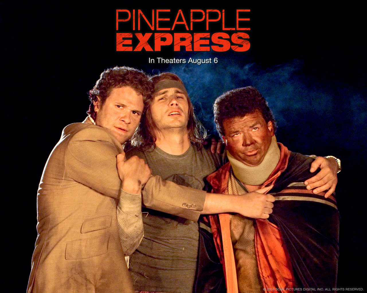 OneLife Movie Posters Pineapple Express
