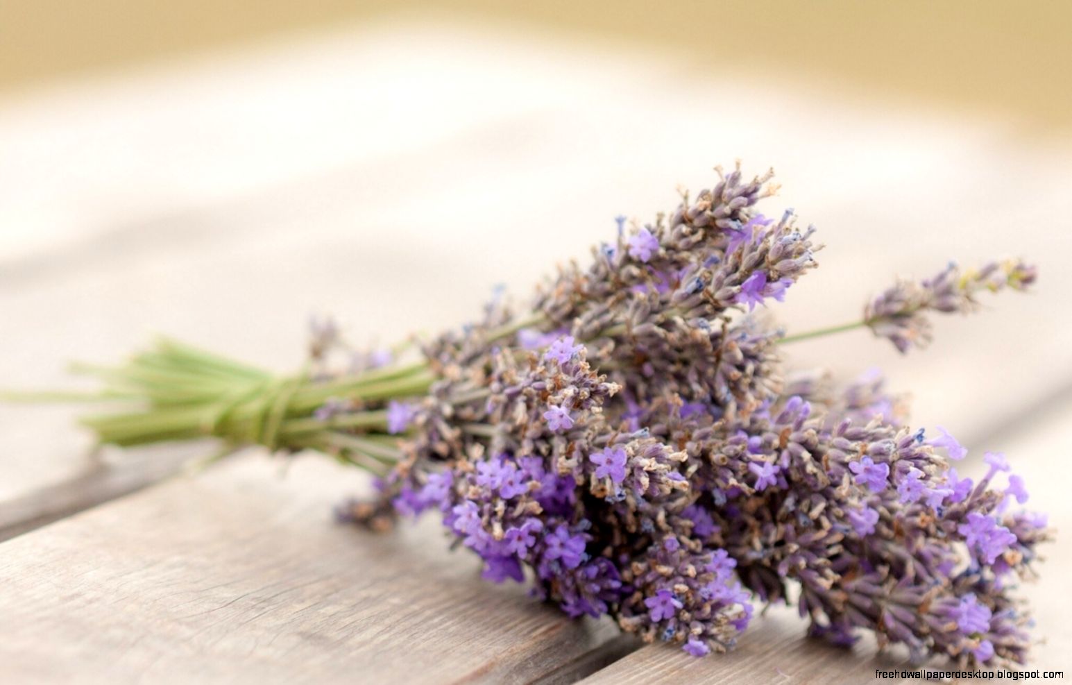 Lavender Bouquet Flowers HD Wallpaper   FreeWallsUp Lavender Bouquet Flowers HD Wallpaper   FreeWallsUp