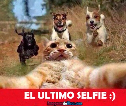 el_ultimo_selfie