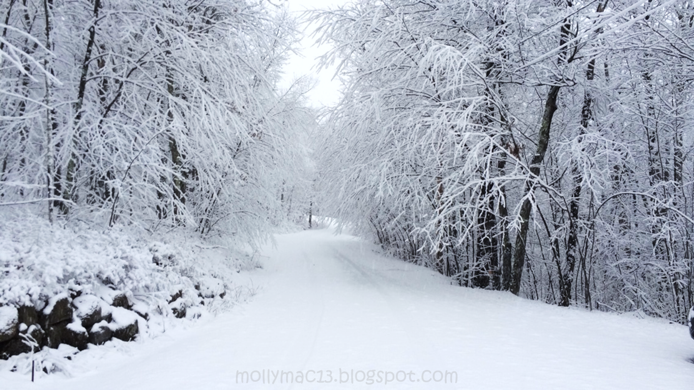 Sincerely, Molly Dust of Snow