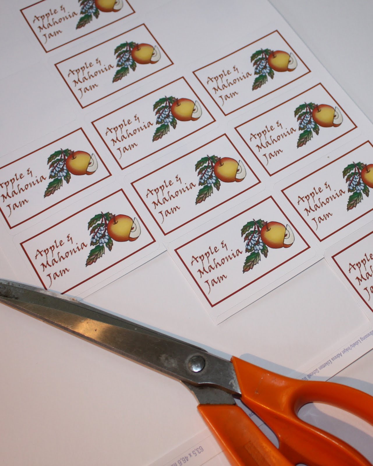 Mezzamay Print Your Own Jam Labels