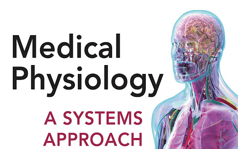Sinh lý học Y học, Phương pháp tiếp cận mang tính Hệ thống