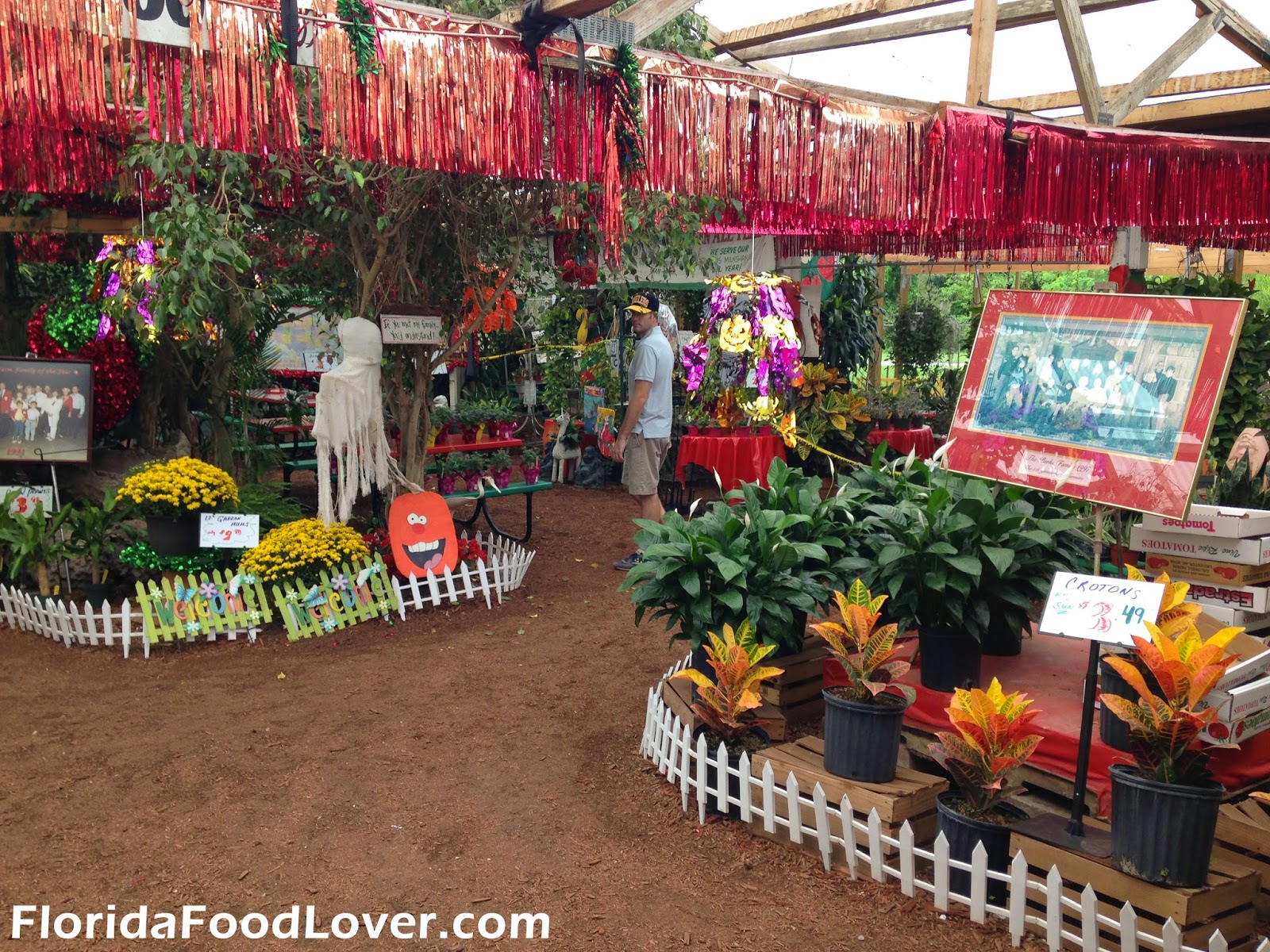 Florida Food Lover The Corner Store &amp; Parkesdale Farm
