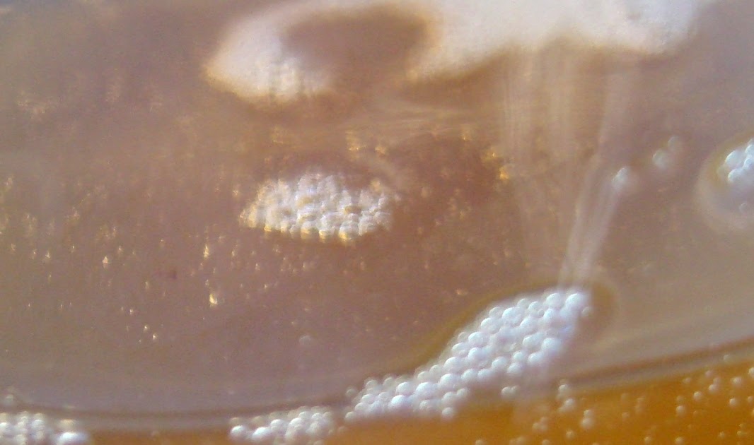 Nourished and Nurtured Four Great Ways to Use Bacon Grease