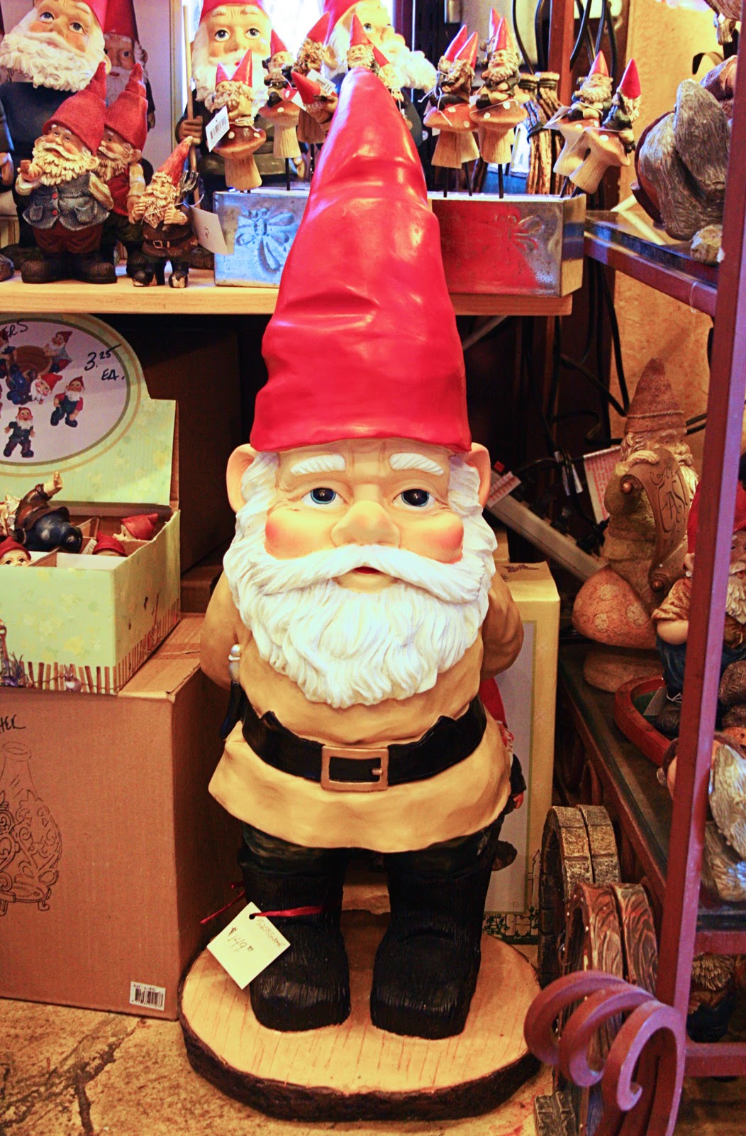 I Heart Salt Lake Backyard Birds and Gardens