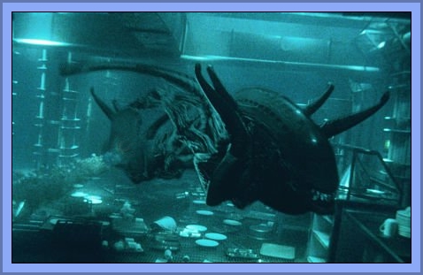Alien Swimming - Loch Ness Monster?