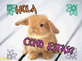 HOLA MI AMOR COMO ESTAS hola mi amor como estas:
