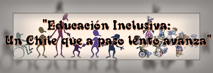 "Educación inclusiva: Un Chile que a paso lento avanza"