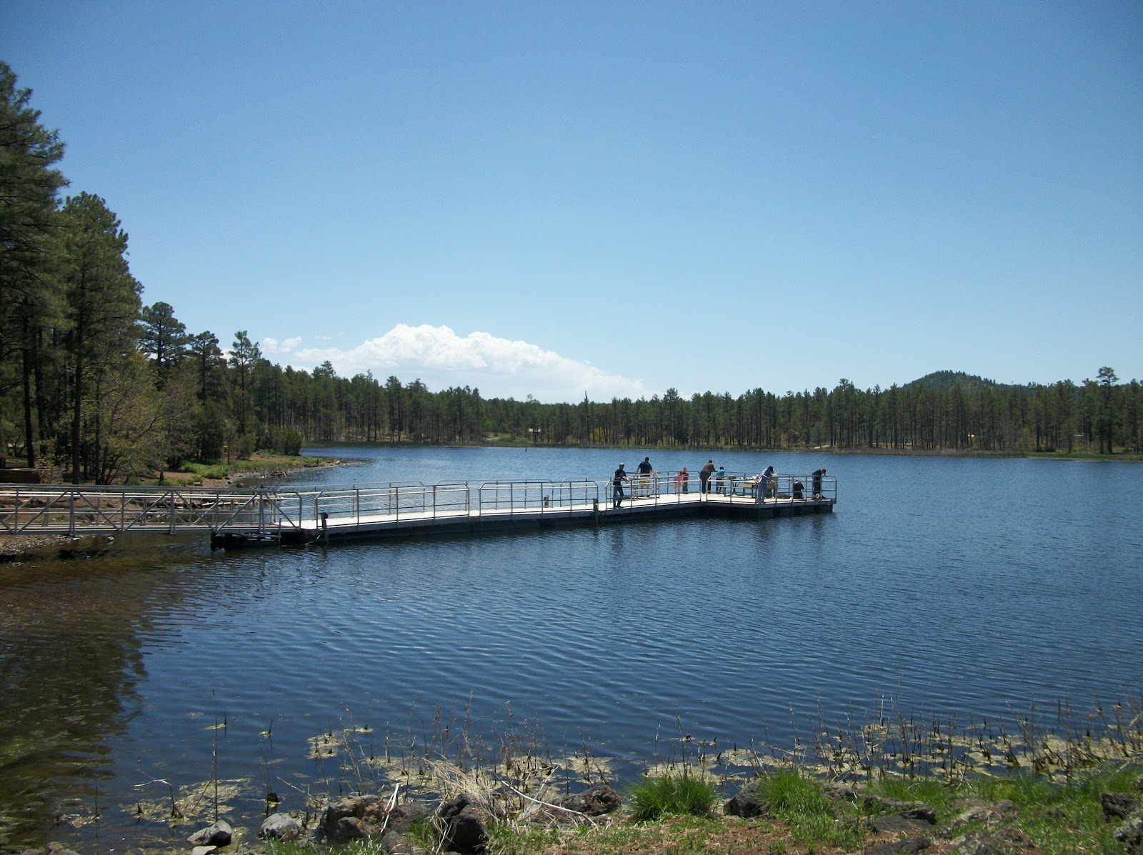 With Gratitude For Grace Grace at Woodland Lake Park