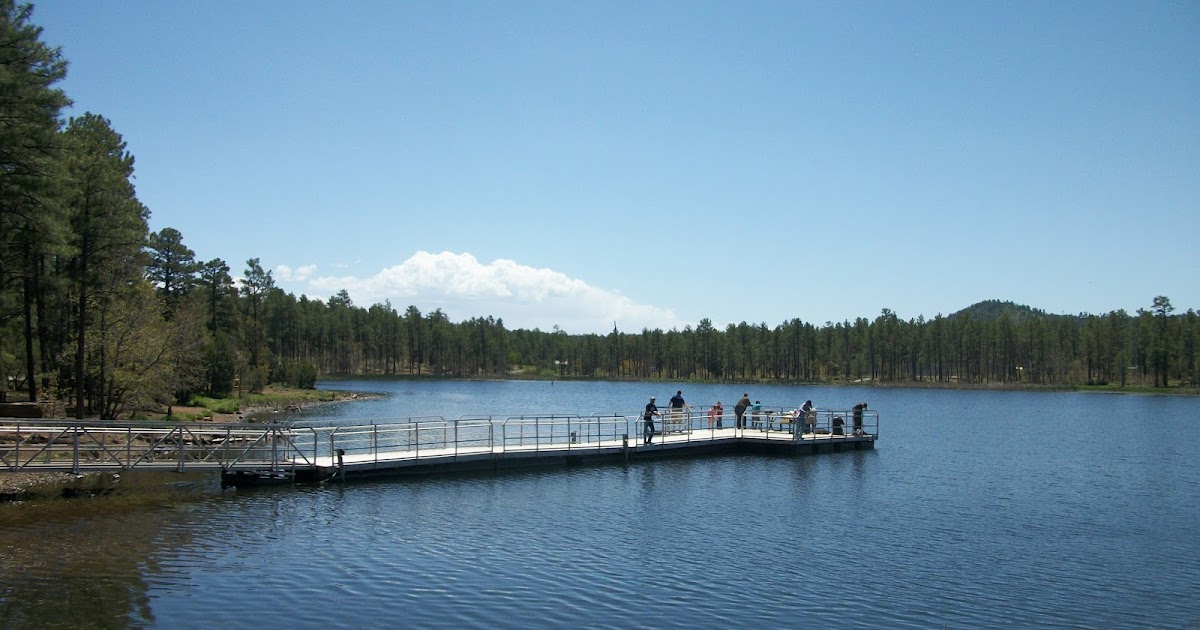 With Gratitude For Grace Grace at Woodland Lake Park