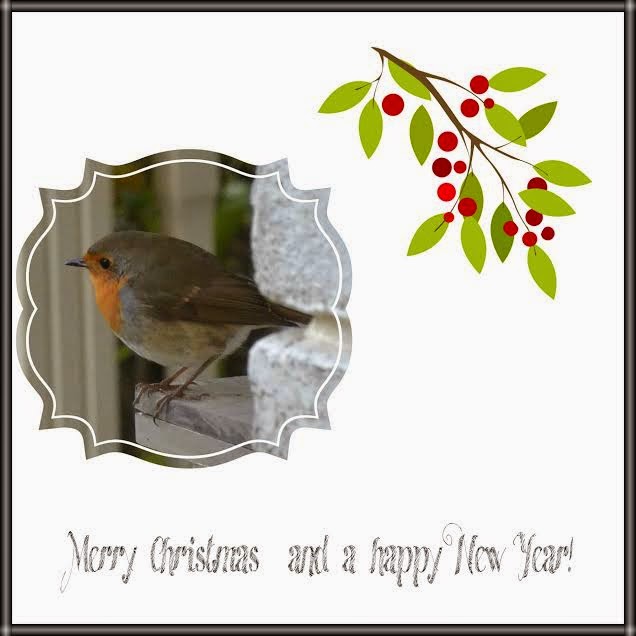 The Reed Warbler: A very special Christmas greeting by a lovely