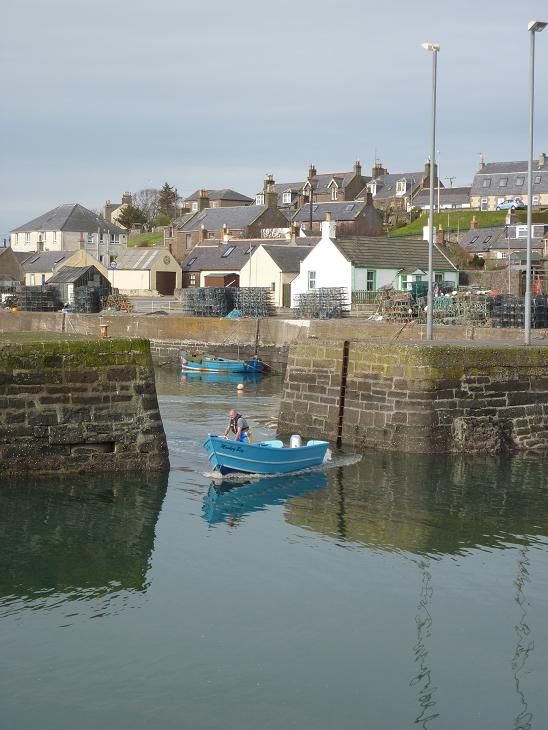 Johnshaven Photos 22. Lobsters beware!