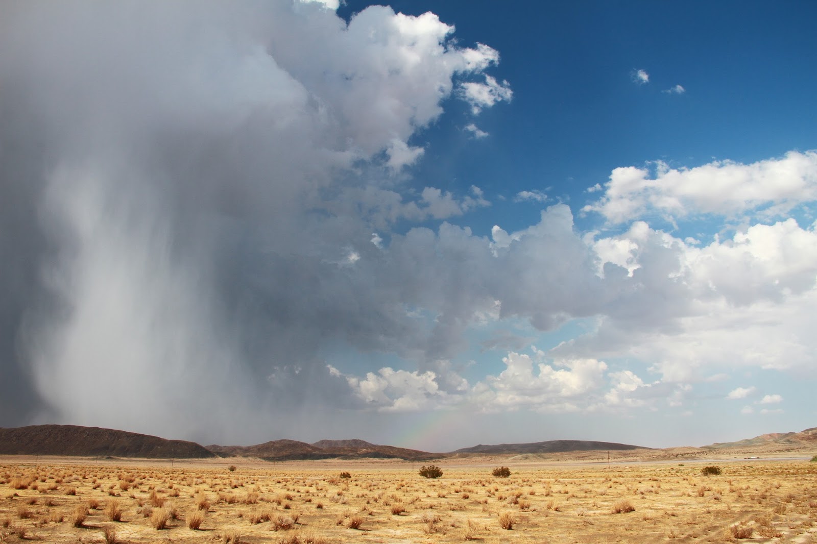 UNIQUELY JOSHUA TREE Storm Clouds on the Mojave Desert