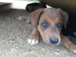 Her baby blues