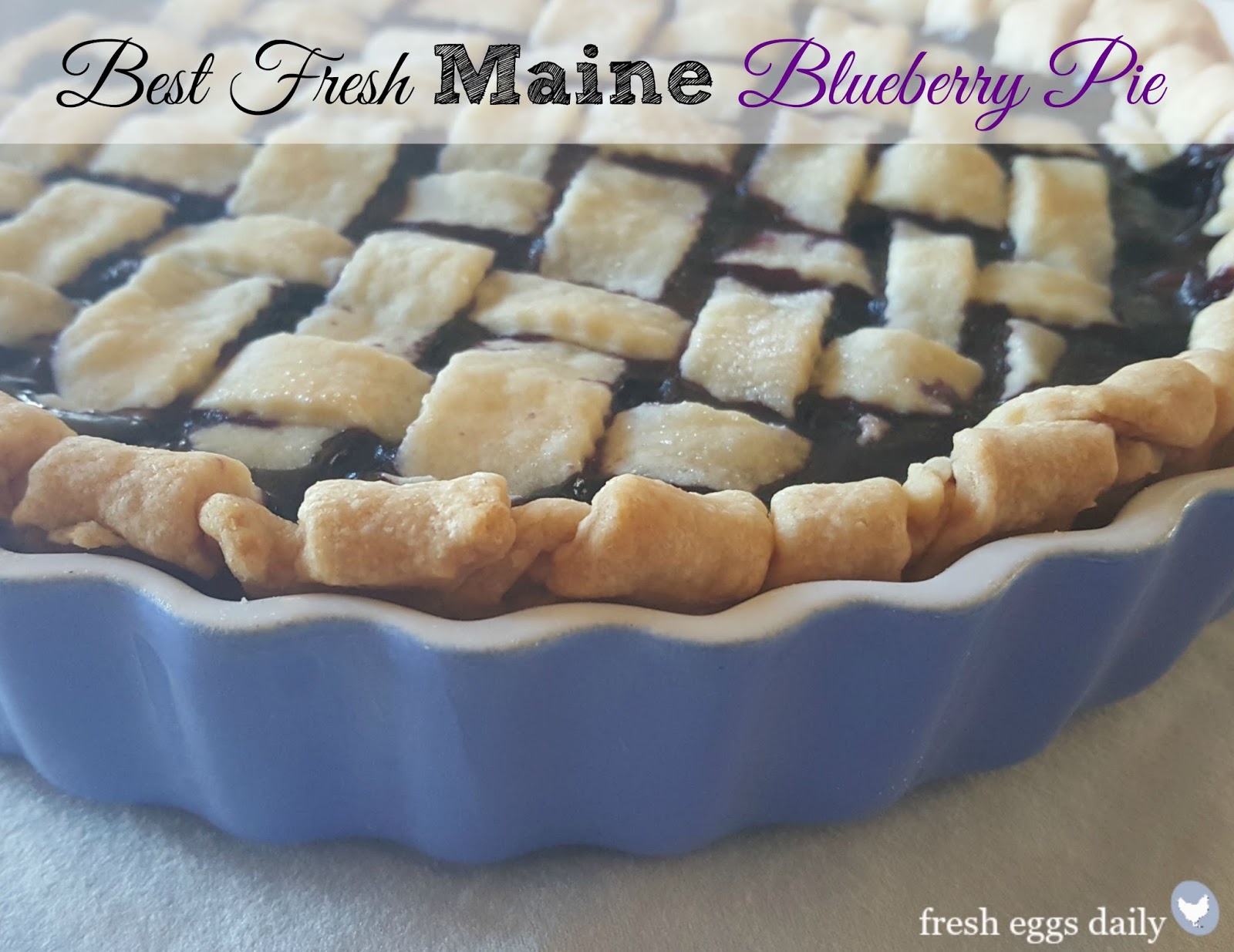 Best Fresh Maine Blueberry Pie Fresh Eggs Daily®