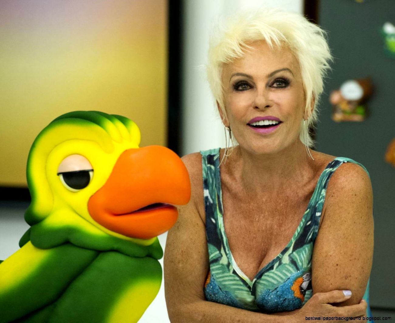 Ana Maria Braga Novo Visual Poster Ana Maria Braga Novo Visual Poster