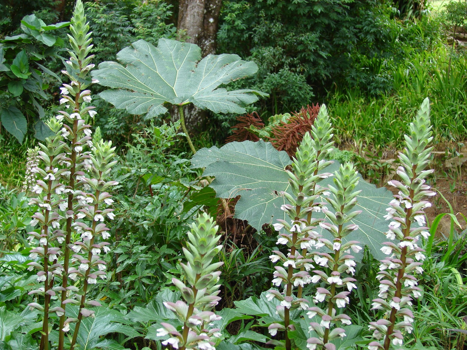 Paisajismo, pueblos y jardines: 2014