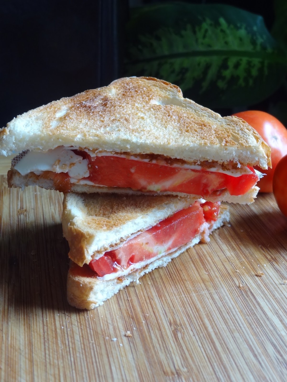 Dairy free Grilled cheese and tomato