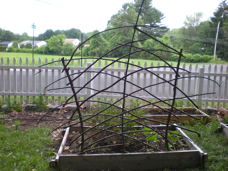 Myrrhmade Twig Trellises and a Chick Field Trip