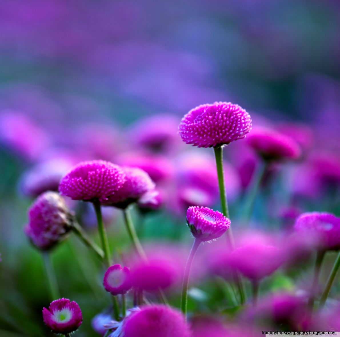 Remember Love HD desktop wallpaper High Definition Fullscreen Remember Love HD desktop wallpaper High Definition Fullscreen