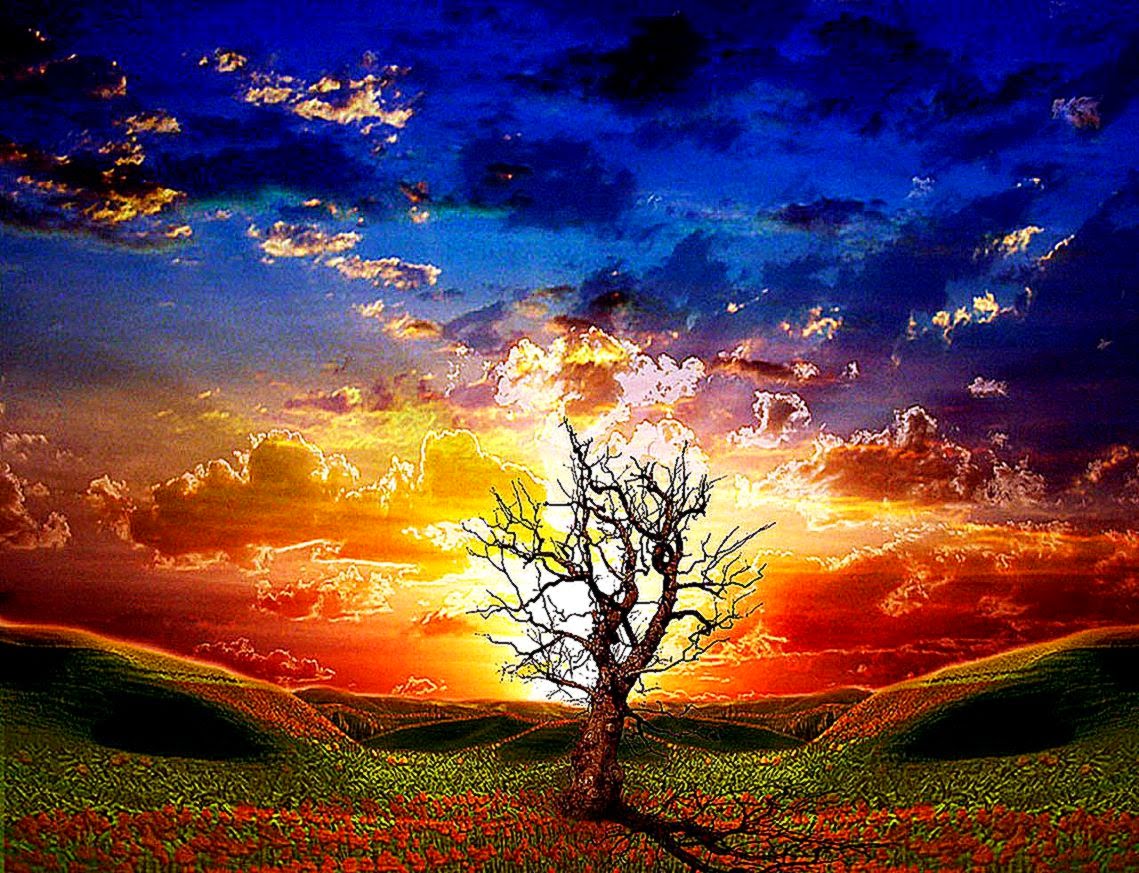 animated desktop screensaver animated desktop screensaver
