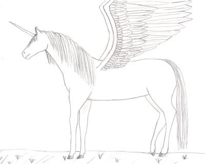 6 The Unicorns With Wings Coloring Sheet