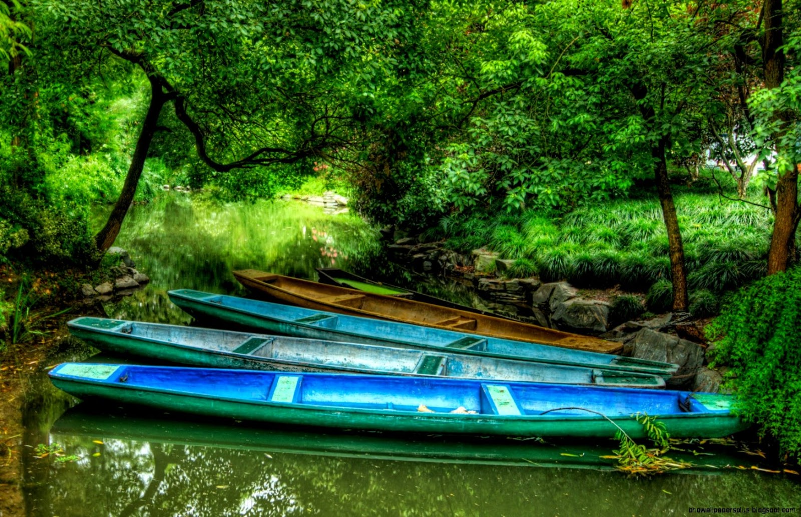 High Resolution Nature High Resolution Nature