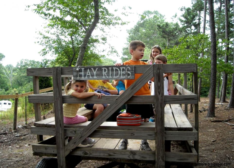 b139963b 22a8 42fc bd67 5b837dbfb31f from Farmer Sue amp The Art b139963b 22a8 42fc bd67 5b837dbfb31f from Farmer Sue amp The Art