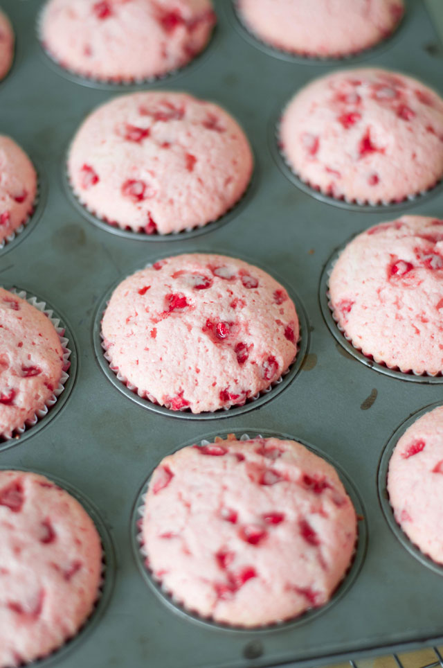 Cherry Chip Cupcake Recipe Cherry Chip Cupcake Recipe
