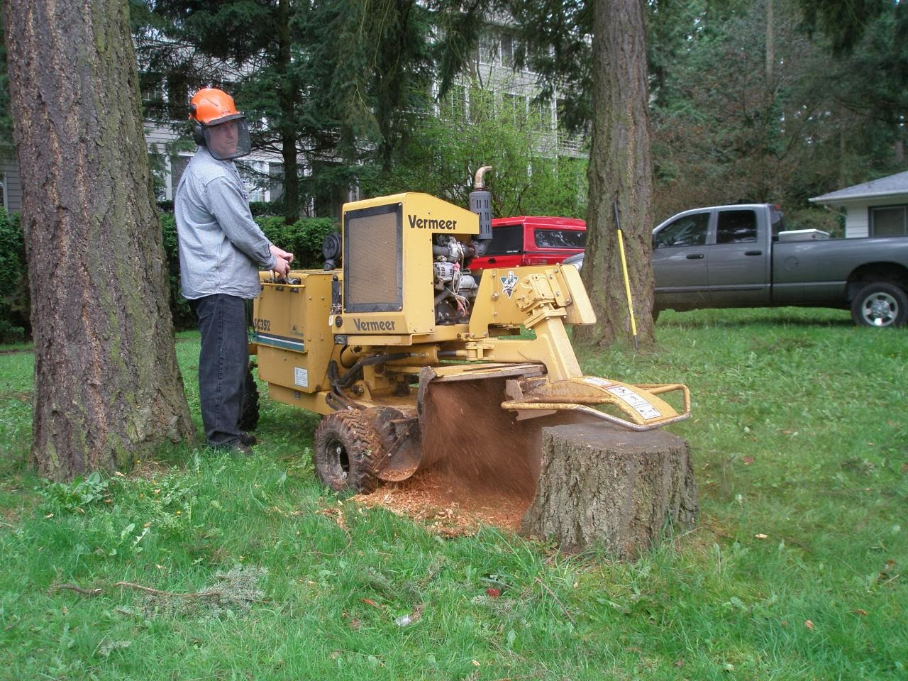 Professional Stump Grinding Services Arlington, Washington Brads