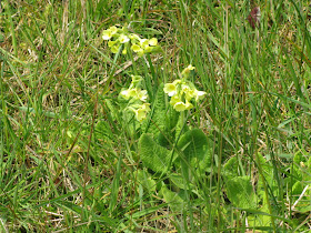 Le Blog De Michele Petales Et Couleurs