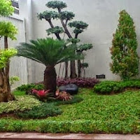 Taman minimalis depan rumah type 36 Taman minimalis depan rumah type 36