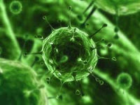6 Virus Paling Mematikan Di Dunia