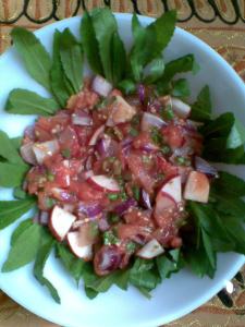 tomato salsa salad with arugula