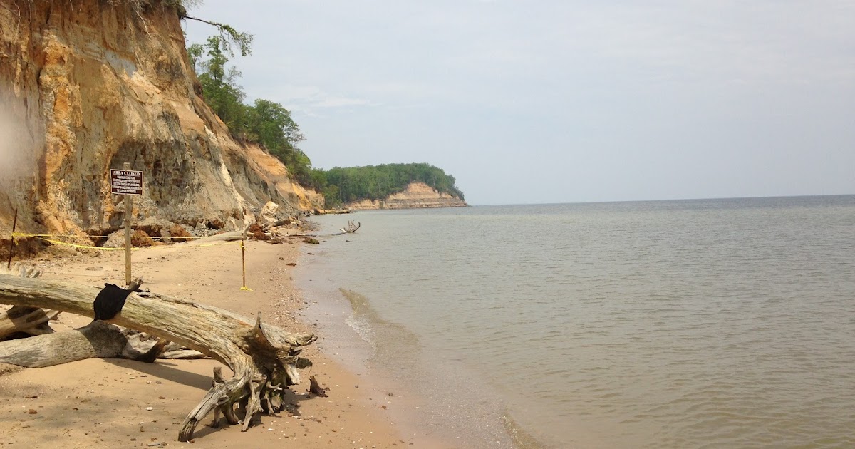 Chasing Glaciers Fossil Hunting at Calvert Cliffs State Park