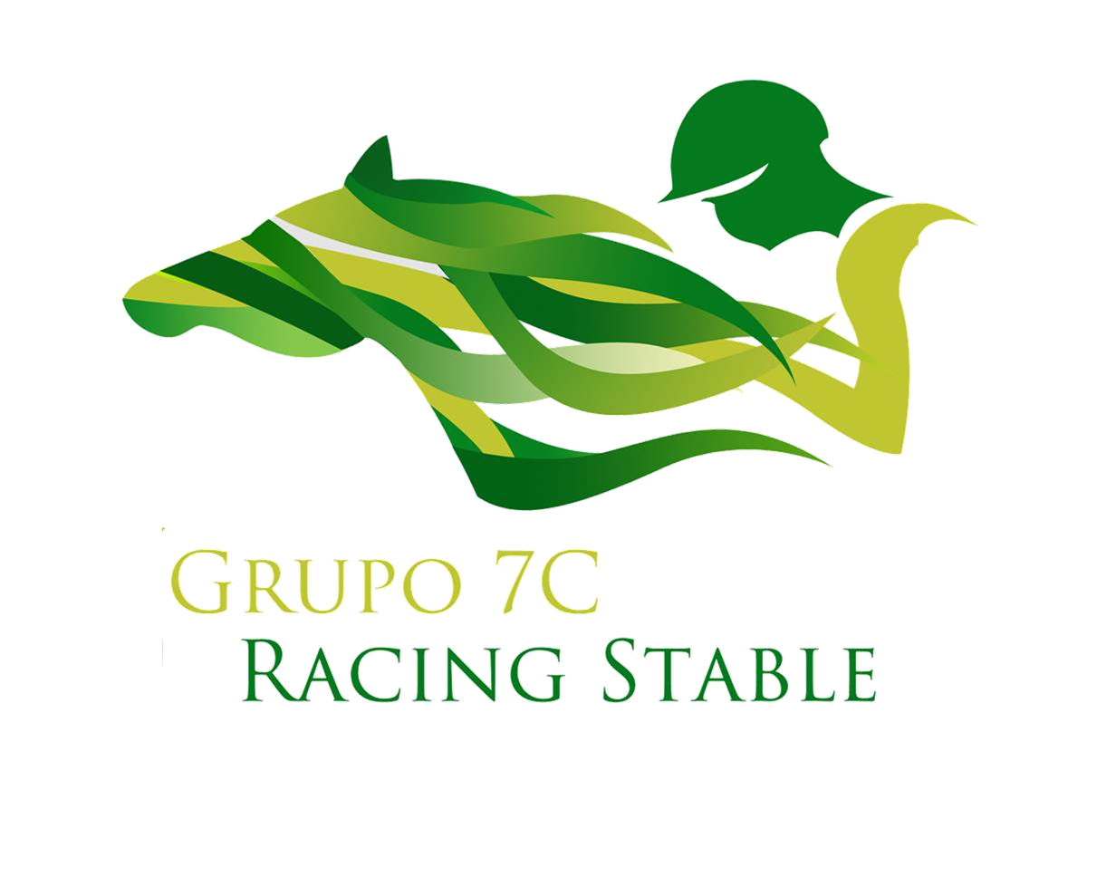 GRUPO 7C RACING STABLES