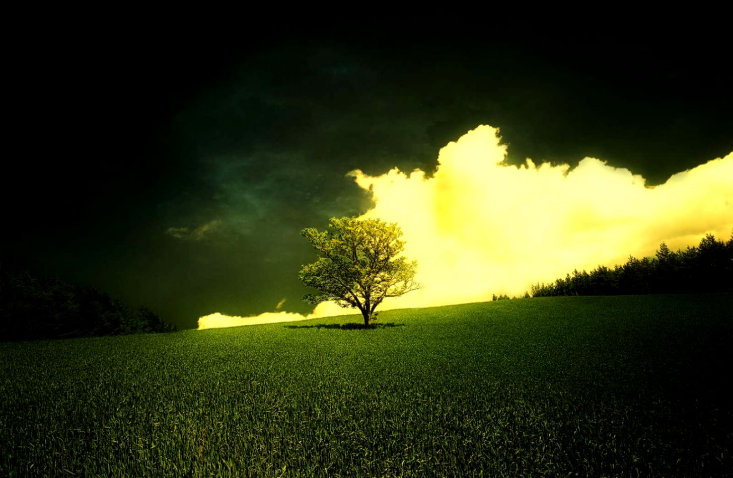 Download 150 HD Wide Screen Wallpapers Wallpaper Pack Web Upd8 Download 150 HD Wide Screen Wallpapers Wallpaper Pack Web Upd8